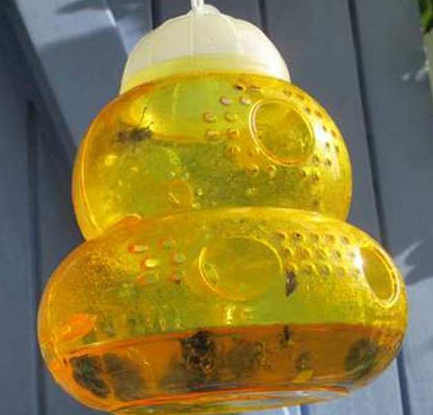 Wespenfalle ist besonders nützlich