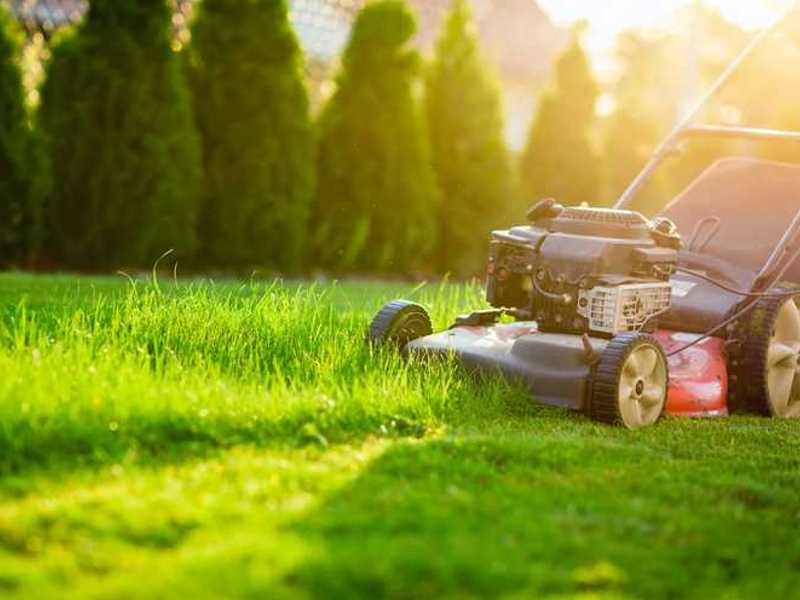 Rasen benötigt Pflege wie z. B. Mähen.