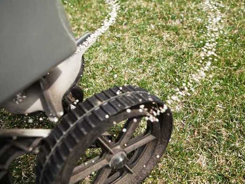 Rasendünger mineralisch oder organisch