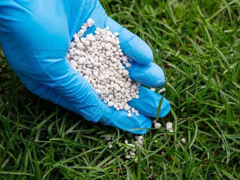 stickstoffbetonter Rasendünger